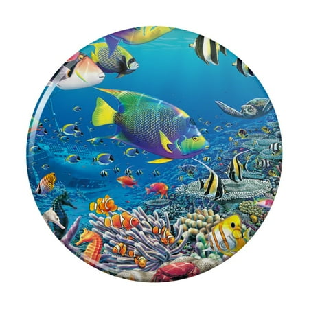 

Ocean Coral Reef Angel Fish Garden Diving Kitchen Refrigerator Locker Button Magnet