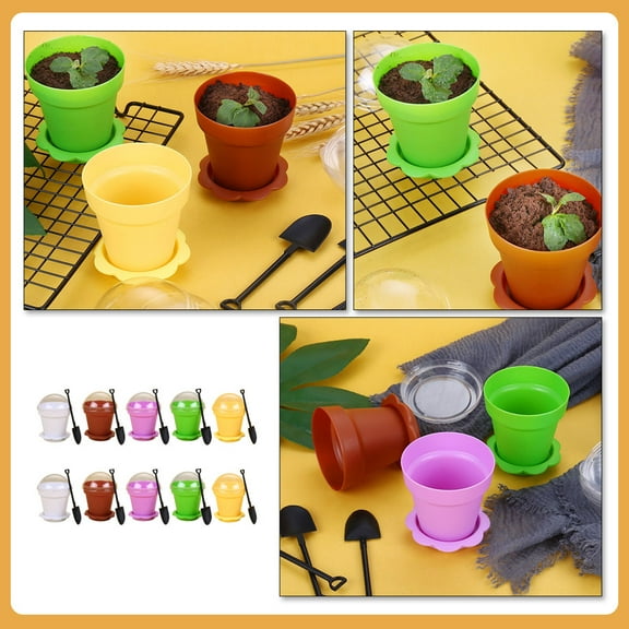 Stri 10 Sets Dessert Beverage Cups Plastic Dessert Visible Cups Small Flowerpots