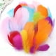 thumbnail image 2 of 50 Pieces Set Natural Colorful DIY Feather Craft Toy Pluma Natural de Animal Material Manual DIY Decoración Juguete para Niños, 2 of 2