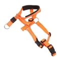 thumbnail image 2 of Harnais de Tête de Chien, Collier de Tête de Chien Humanisé Conception Soulagement de la Pression Réglable Sangle pour le Camping Orange, Bleu, Rouge, 2 of 8