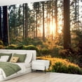 thumbnail image 2 of Peel and Stick Wallpaper sunrise between tree trunks forest Modern Art Wall Mural Decor Self Adhesive and Removable 69in x 98in, 2 of 8