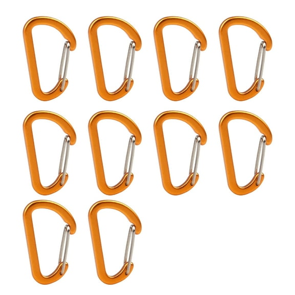 Jesscasday Carabiner Clip, 10Pcs Heavy Duty Carabiner Hook for Gym, Camping, Hiking, Outdoors, Small Carabiners for Leash, Harness