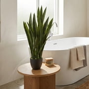 Nearly Natural 35 Sansevieria Artificial Plant in Plastic Planter, Green