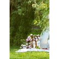 thumbnail image 2 of Telón de fondo ABPHQTO 150x220cm Picnic al aire libre Primavera Verde, 2 of 2