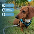 thumbnail image 5 of Voyager Step-In Plush Dog Harness – Soft Plush, Step In Vest Harness for Small and Medium Dogs by Best Pet Supplies - Harness (Turquoise Plush), L (Chest: 18 - 20.5"), 5 of 7