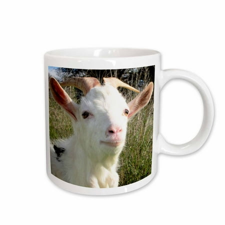 

3dRose Farm Animals Goat Ceramic Mug 11-ounce