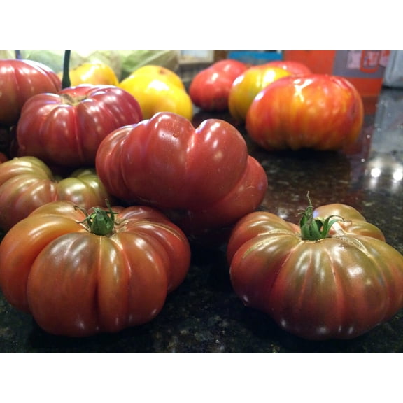 Tims Black Ruffles Heirloom Tomato Premium Seeds Packet