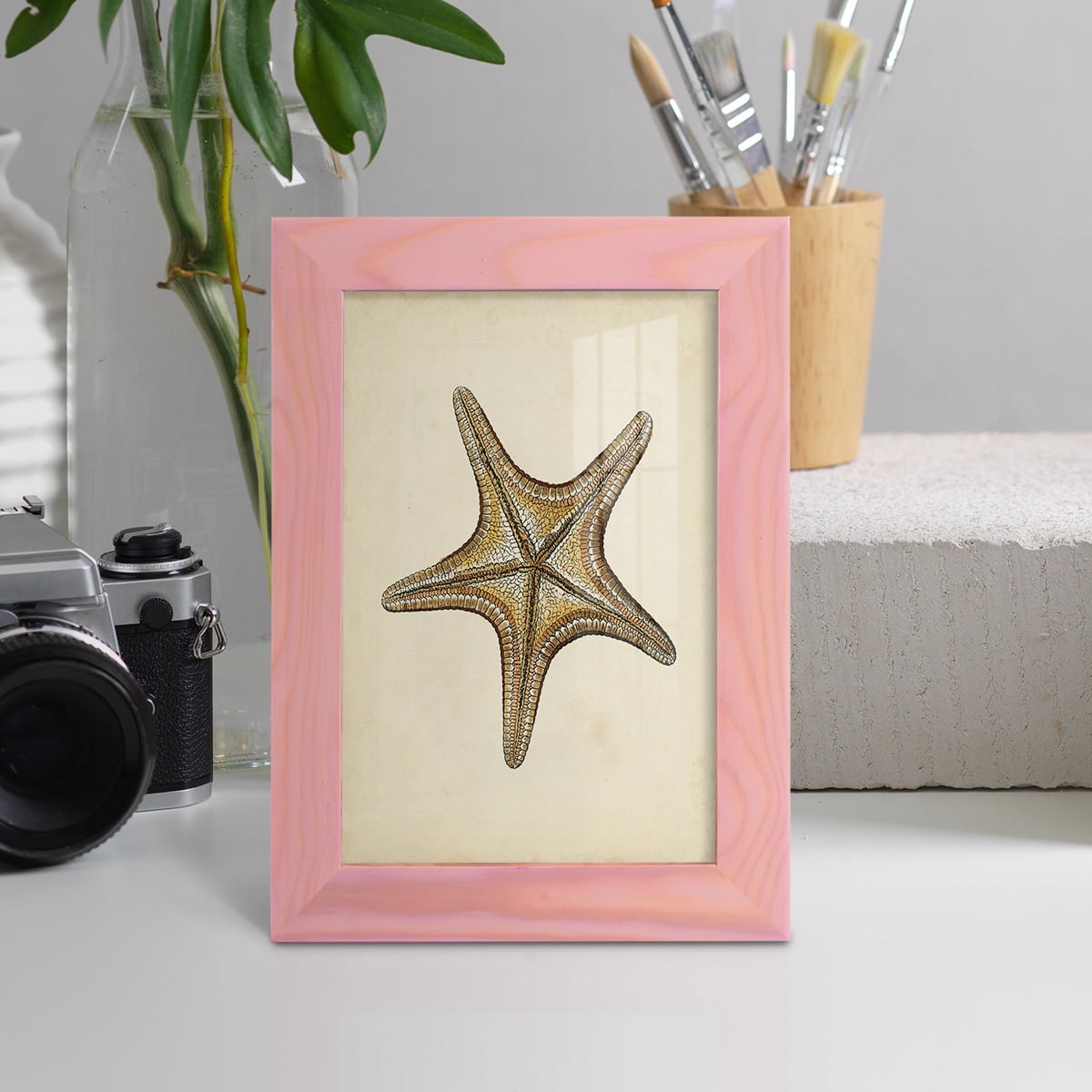 Sealife Collection IV - Framed Print w/glass - Sunset Pink