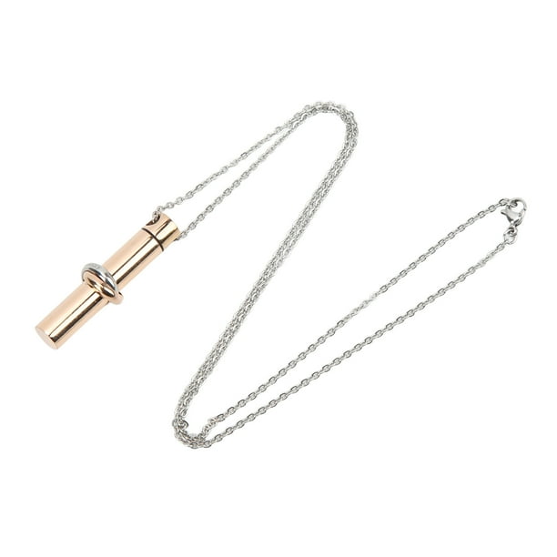 Collar para Cenizas NikouMX Colgante De Cremación De Acero Inoxidable 316L Joyería De Cremación