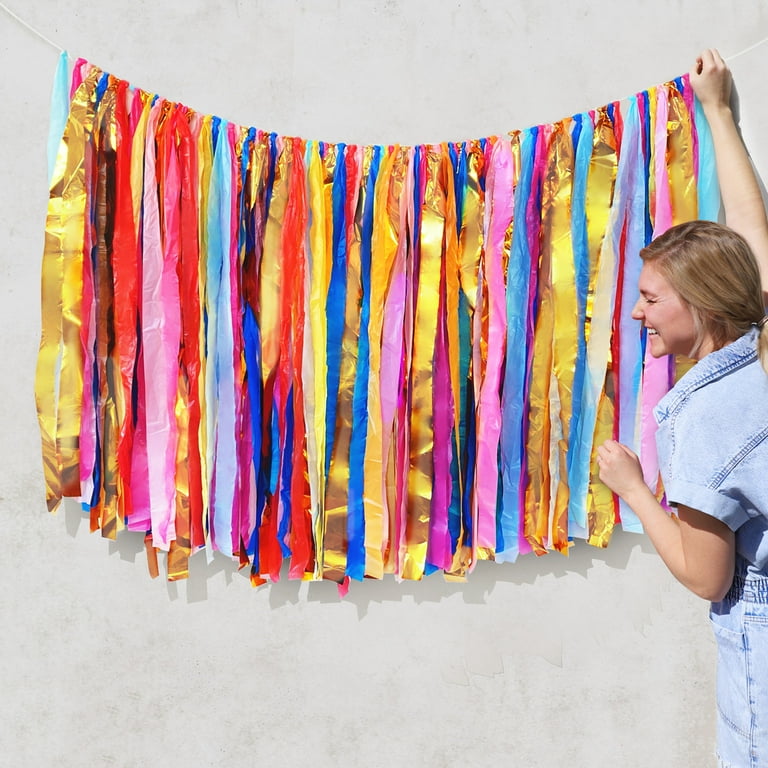 Rainbow Bright Streamer Fringe Backdrop Kit