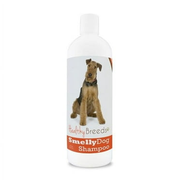 Healthy Breeds  Airedale Terrier Smelly Dog Baking Soda Shampoo