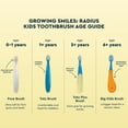 thumbnail image 3 of RADIUS Children's Toothbrush Totz Extra Soft Assorted Colors 6 Count, BPA Free and ADA Accepted, Designed for Delicate Teeth and Gums, For Kids 18 Months and Up, 3 of 7