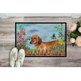thumbnail image 2 of Carolines Treasures CK1214MAT Tapis d'Intérieur Ou d'Extérieur pour Teckel - 18 x 27 Po., 2 of 4