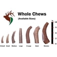 thumbnail image 4 of Elkhorn Premium Chews X Large whole (8-10.5” long) elk antler chew for 50-90 lb dogs (1 pack) all-natural premium-grade antler bone, sourced in USA, 4 of 6