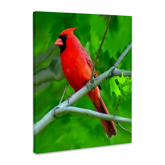 3dRose, Red Cardinal, Museum Grade Canvas Wrap 11x14