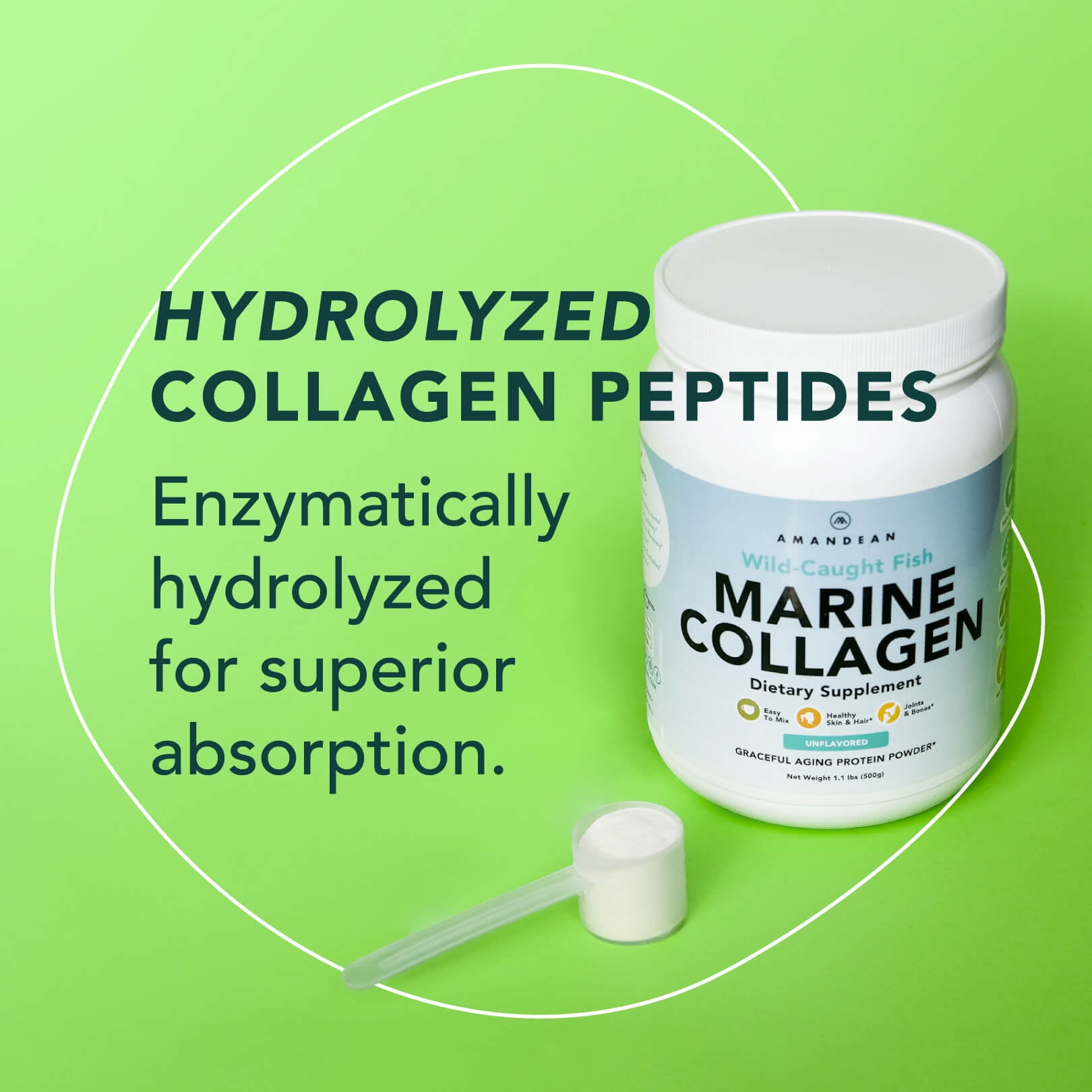 Amandean Premium Anti-Aging Marine Collagen Powder 17.6 Oz | Wild-Caught Hydrolyzed Fish Collagen Peptides | Type 1 & 3 Collagen Protein Supplement | Amino Acids for Skin, Hair, Nails