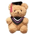 thumbnail image 1 of ¡Liquidación! Decoración de habitación YOBOLK Oso de peluche de graduación de la clase de 2023 Oso de peluche de graduación de 9 pulgadas Regalo de graduación de jardín de infantes Muñeco de peluche, 1 of 2