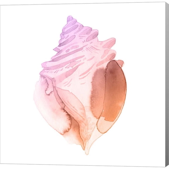 Great Art Now Sunset Conch II by Jacob Green, Canvas Wall Art, 12W x 12H