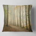 thumbnail image 2 of Designart Path in Misty Autumn Forest - Landscape Photography Throw Pillow - 18x18, 2 of 5