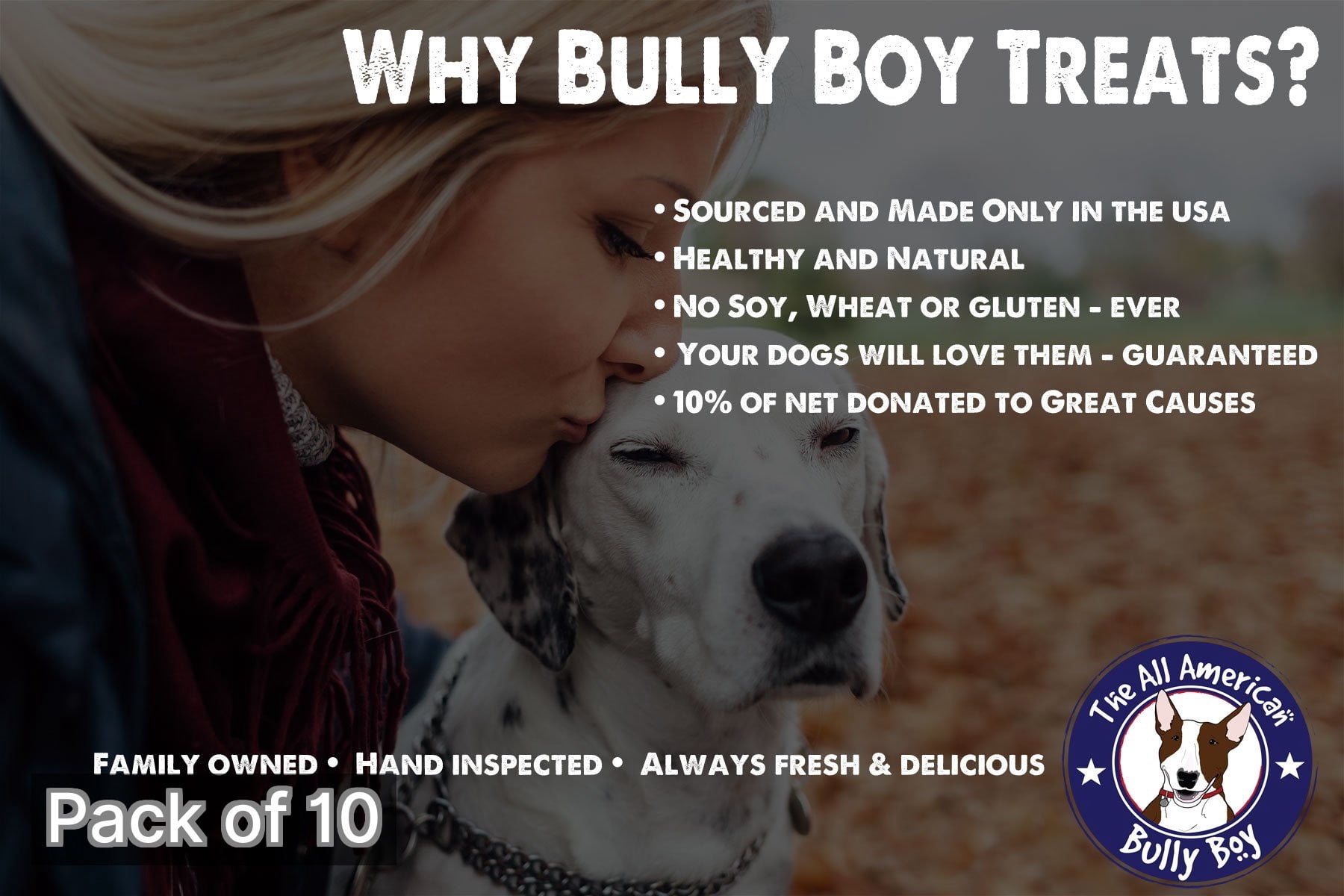 Bully Boy Pets USA Made Smoked Gourmet Dog Jerky Treat 12oz Chicken Sticks (Pack of 10)