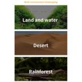 thumbnail image 3 of Reptile Feeding Bowls Terrarium Plate Reptile Feeder Amphibian Feeding Bowl for Frog Tortoise Bearded Dragon Turtle,L, 3 of 5