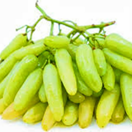 

Grow Fast- Grape Bulbs Drought-resistant Suitable for Garden Planting Grapes Strong Vitality Grapes Grow Naturally
