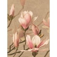 thumbnail image 2 of Stellar Design Studio 19x24 White Modern Wood Framed Museum Art Print Titled - Antique Botanical Collection 4, 2 of 4