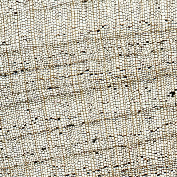 Cork, Sec., 20  Microscope Slide