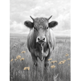 thumbnail image 1 of Qisvanset 12x16 Inch Black White Highland Cow Canvas Wall Art, Rustic Western Cattle Art Farmhouse Home Decor, 1 of 8