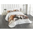 thumbnail image 3 of Ambesonne Funny Quilted Bedspread Set 3 Pcs, Cat Dog Friendship, King Size, Brown Black White, 3 of 5