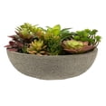 thumbnail image 5 of Vickerman FH182801 Pot de Succulentes Mélangé en Béton de 6 Po, 5 of 5