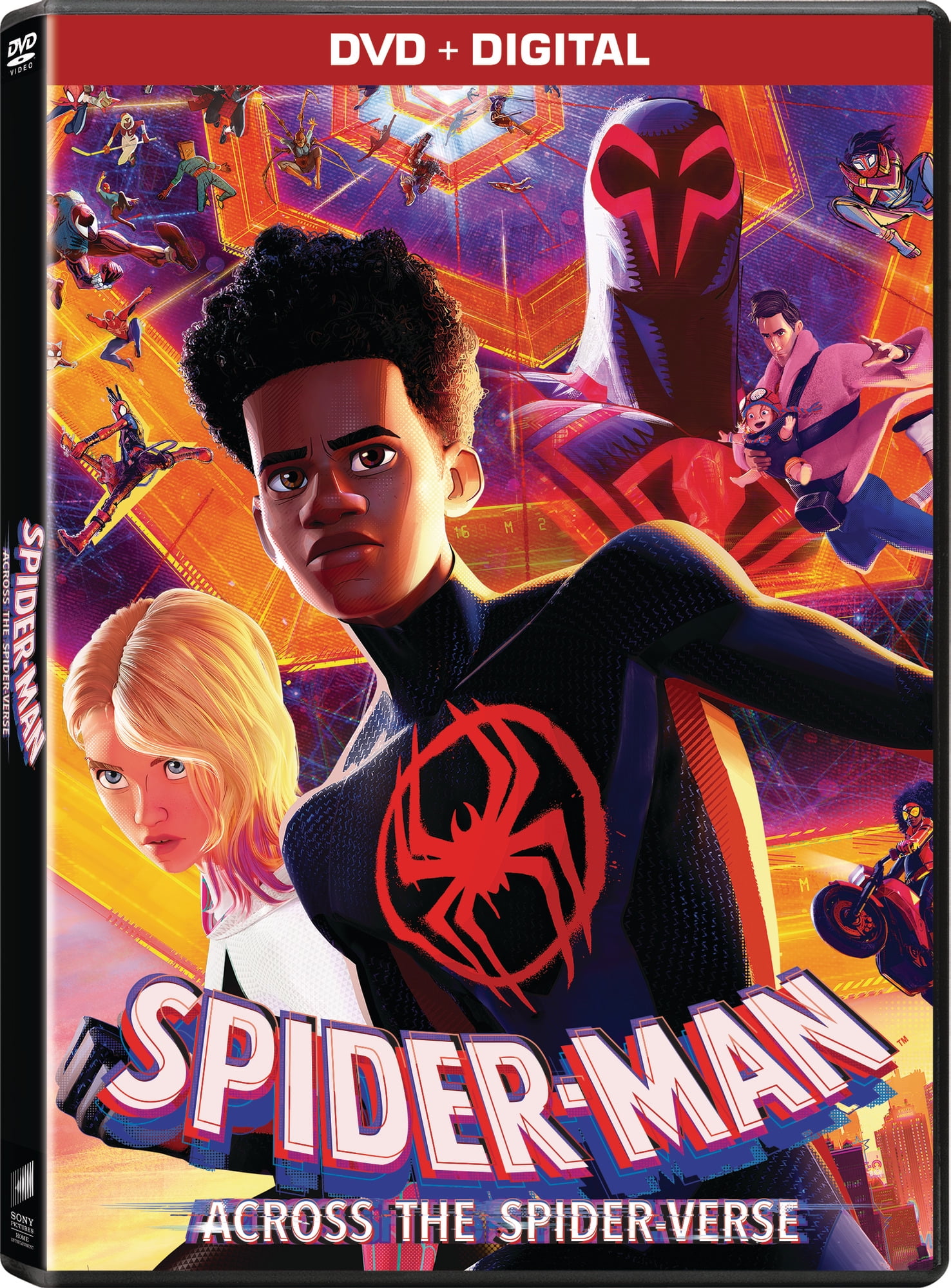 Spider Man Across The Spider Verse (DVD + Digital Copy) Walmart