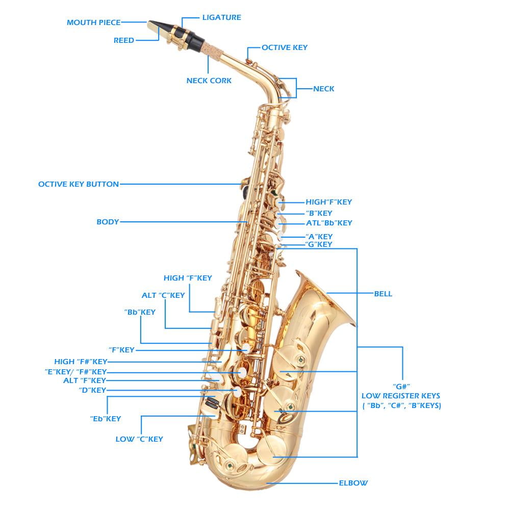 Glarry Professional Eb Alto Saxophone Kit with 11 Reeds/Case/Carekit, Gold
