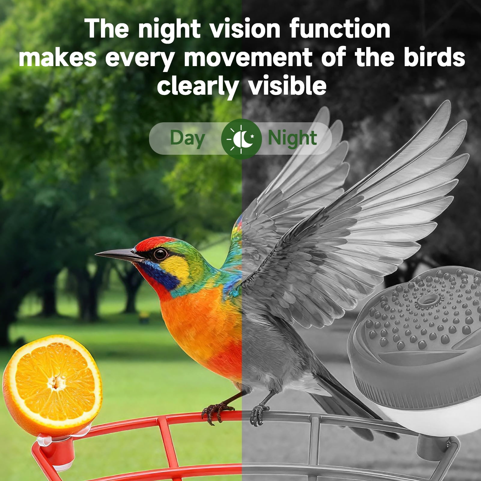 Smart Bird Feeder with Camera & AI Identification, 2.4GHz WiFi Solar Powered Outdoor Bird Feeder with Cam, 2K Live View, Instant Arrival Alerts