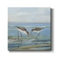 thumbnail image 1 of Seabird Beach II-Premium Gallery Wrapped Canvas - Ready to Hang, 1 of 3