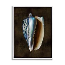 Stupell Industries Conch Shell on Black Nature Painting White Framed Art Print Wall Art, 24 x 30