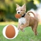 thumbnail image 5 of 5 piezas de juguete para perros, juguete para morder mascotas, huevos de simulación, entrenamiento para perros, juguetes de pelota de rebote (caqui), 5 of 7