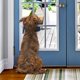 thumbnail image 3 of Alfombrilla para lamer perros Genuine Fred Slow Feeder helado antideslizante, 3 of 5