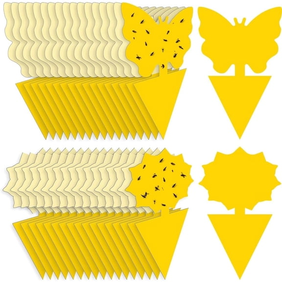 50 Gnat Traps for Houseplants, Fruit Fly Sticky Traps with Strong Adhesive, Waterproof and Non-Toxic Insect Traps for Indoor Plants, Outdoor Garden, Kitchen and Nursery