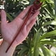thumbnail image 1 of Horquilla antigua tallada en madera de sándalo rojo lobular, placa para el cabello, artesanías de madera pulida a mano, regalos antiguos de caoba, 1 of 6