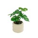 thumbnail image 1 of Escritorio de interior con plantas artificiales, plantas verdes en macetas pequeñas, mesa de centro for sala de estar, arreglo floral falso., 1 of 5