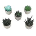 thumbnail image 1 of 5 piezas de plantas suculentas artificiales en macetas Surtido Mini suculentas decorativas falsas en macetas Plantas falsas Suculentas en macetas de pulpa de papel, 1 of 10