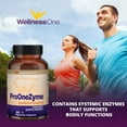 WellnessOne ProOneZyme Systemic Enzymes with Nattokinase and Bromelain