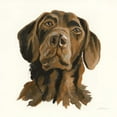 thumbnail image 2 of Vassileva, Silvia 15x15 Black Ornate Wood Framed with Double Matting Museum Art Print Titled - Oscar, 2 of 4