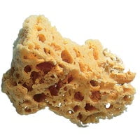 Trimaco SuperTuff 5 to 6 In. Natural Grass Sea Sponge 10136