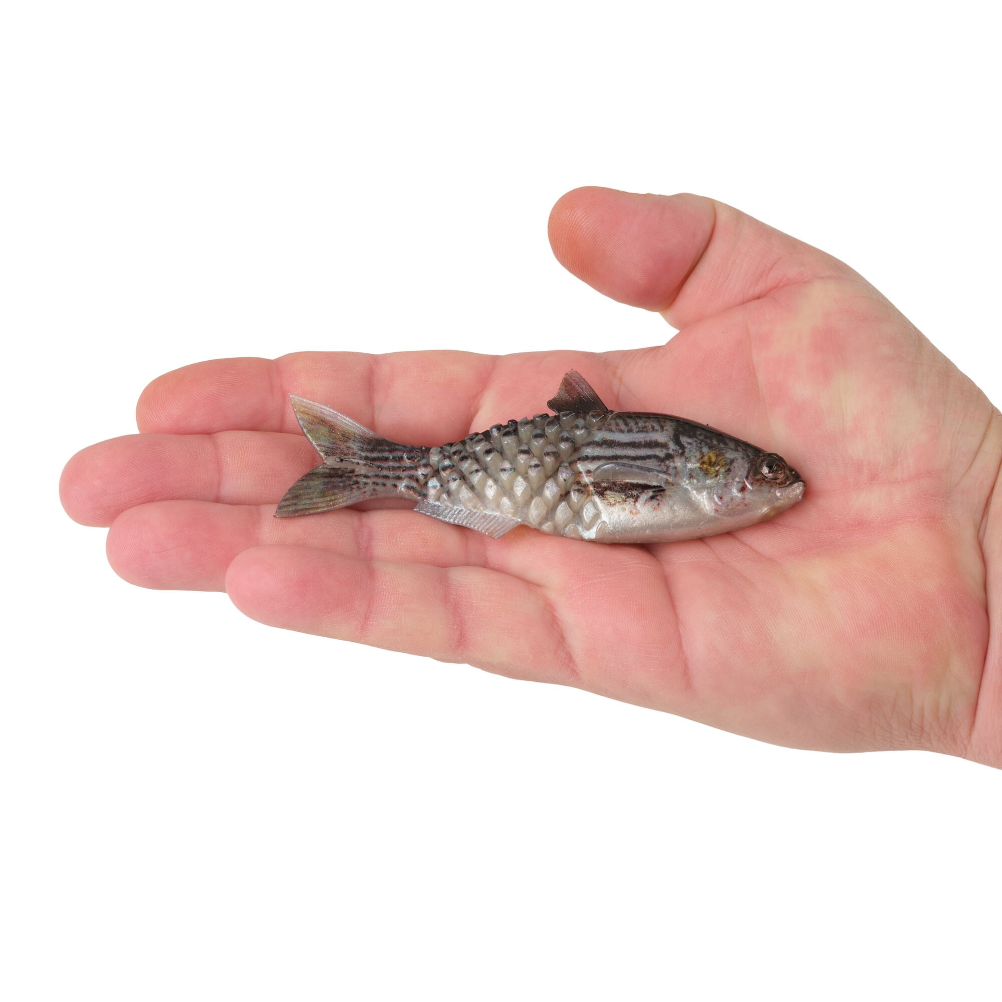 Berkley PowerBait® Saltwater Gillydine, 4.5 in, Swimbaits, HD Mullet (3-count)