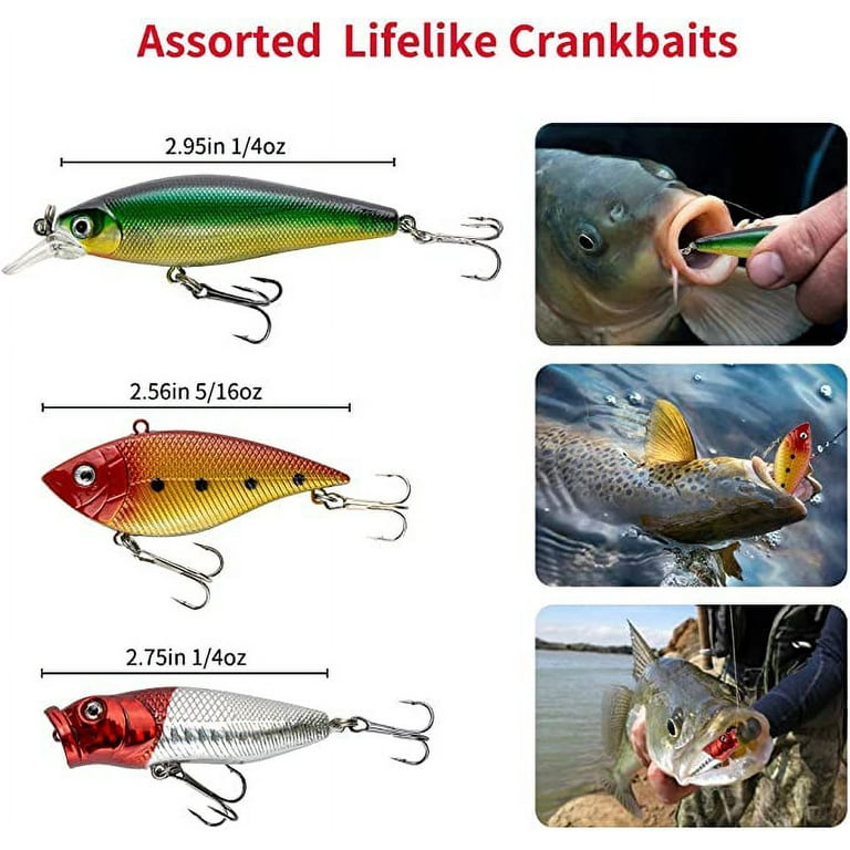 GOANDO Fishing Lures Kit for Freshwater Bait Tackle Kit for Bass Trout  Salmon Fishing Accessories Tackle Box Including Spoon Lures Soft Plastic  Worms