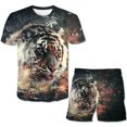 thumbnail image 1 of Conjuntos de ropa de tigre para niños y niñas, camisetas de verano para niños, Tops + pantalones cortos de cintura elástica, ropa informal de dos piezas de dibujos animados, trajes 10T Gao Jinjia LED, 1 of 2