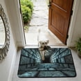 thumbnail image 1 of Alfombra de Entrada con Efecto Visual Estereoscópico 40x60cm Multicolor de Poliéster Absorbente Antideslizante Impermeable para Baño y Hogar, 1 of 6