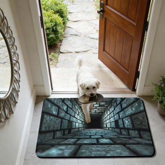 Modern 3D Design Door Mat with Superior Water Absorption, Secure Non-Slip Backing, Multi-Functional Floor Mat for Bathroom, Kitchen and Entryway